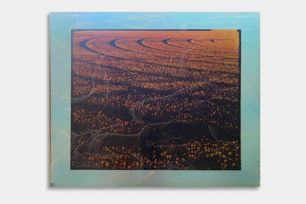 Carlo Valsecchi - Photo applied to hardboard - Judicial Liquidation n. 7/2022 - Catania Law Court
